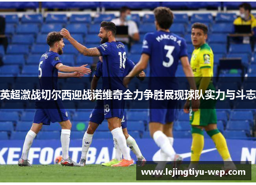 英超激战切尔西迎战诺维奇全力争胜展现球队实力与斗志